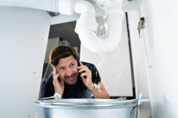 Best Best Plumbers Near Me  in Paw Paw Lake, MI