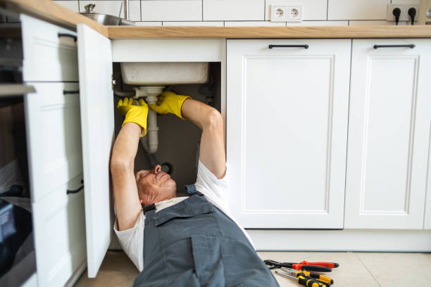 Professional Plumbing in Paw Paw Lake, MI