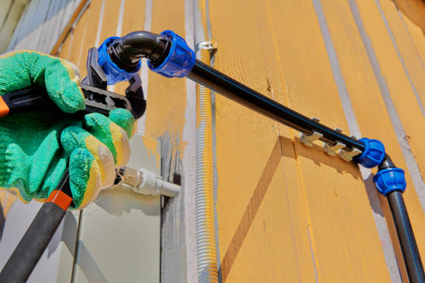Best Local Plumber Services  in Paw Paw Lake, MI
