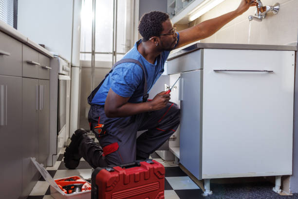 Best Plumbing Services Near Me  in Paw Paw Lake, MI